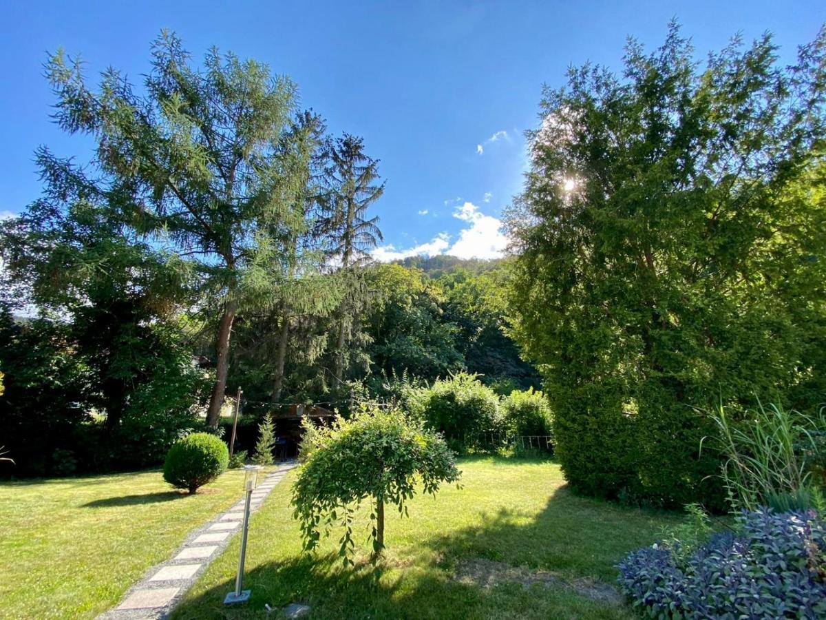 Traumhaus Thale Mit Sauna Und Kamin Buitenkant foto