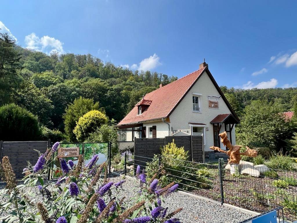 Traumhaus Thale Mit Sauna Und Kamin Buitenkant foto